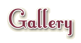 GallerySUBTitle